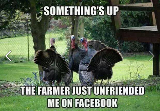 Something's Up -- The Farmer Just Unfriended Me on Facebook