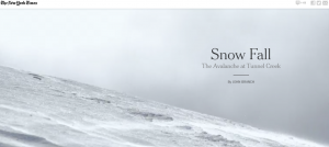 New York Times-Snow Fall: The Avalanche at Tunnel Creek