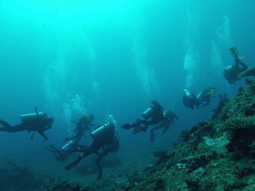 Broadreach Fiji Underwater Swim
